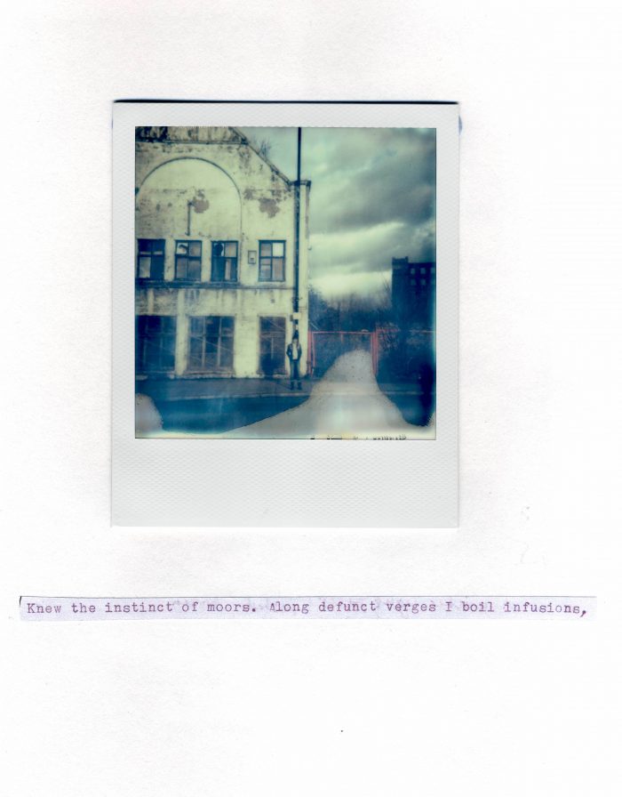 hinterland-emphemera-polaroid-building-peel